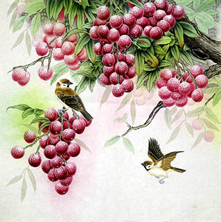 Chinese Lychee Painting,66cm x 66cm,nx21170026-x
