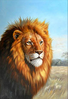 Animal Oil Painting,50cm x 70cm,wyh6485008-x