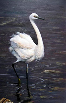 Animal Oil Painting,60cm x 90cm,wyh6485013-x