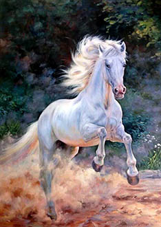 Animal Oil Painting,60cm x 90cm,wyh6485017-x