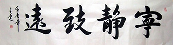 Chinese Other Meaning Calligraphy,48cm x 176cm,51066005-x