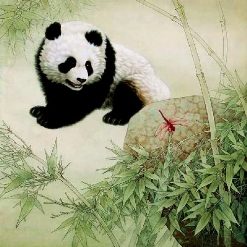 Panda,66cm x 66cm(26〃 x 26〃),4734062-z