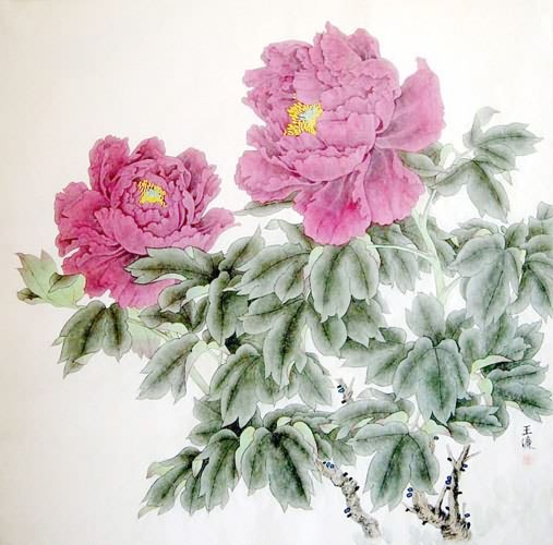 Peony,66cm x 66cm(26〃 x 26〃),2389016-z