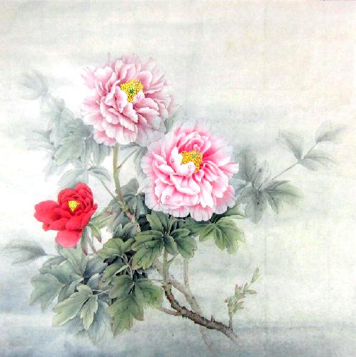 Peony,68cm x 68cm(27〃 x 27〃),2574011-z